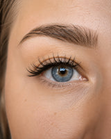 Pro-Design Lash Magnetic Eyelashes