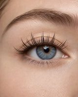 JINYANHUA Dandelion Wispy Lashes Glue-free cluster lashes