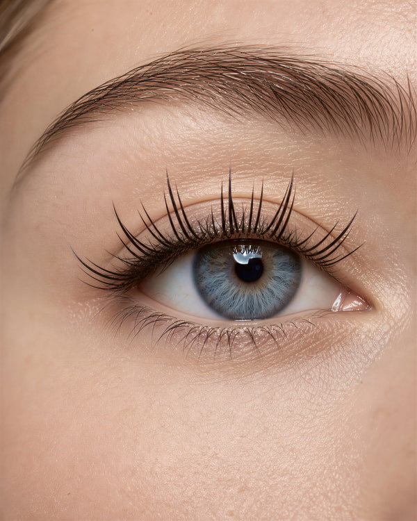JINYANHUA Dandelion Wispy Lashes Glue-free cluster lashes