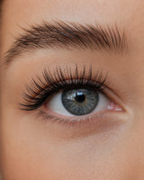 All-Day Long Lasting Magnetic Lashes - High-Density Volume False Eyelashes Kit