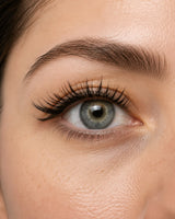 Magnetic eyelash on close-up eye with defined lash line