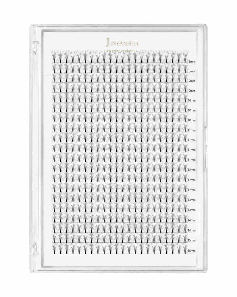 False eyelash extension tray with assorted lash strips in clear case