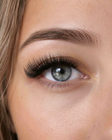 False eyelashes close-up on eye with a curled, voluminous lash line