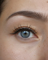 Long black false eyelashes on a blue eye, natural brow and defined lash line