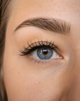 Close-up of eye with long curled false eyelashes