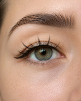 Natural-looking false lashes on brown eye, close-up