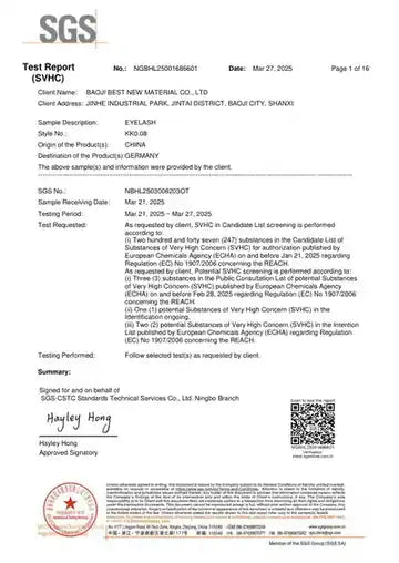 SGS Report Cover