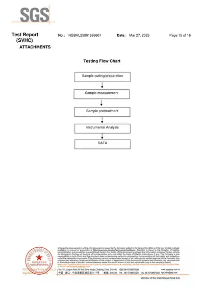 SGS Testing Process